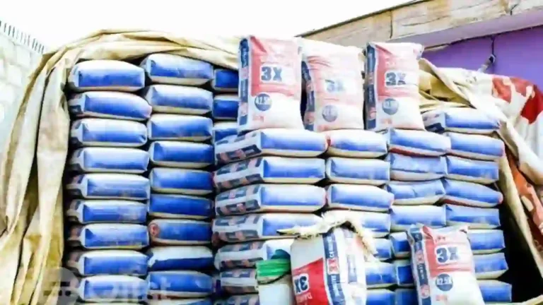 Federal Government Bans Importation of Cement, Poultry, Pharmaceuticals, Others From Non-ECOWAS Countries