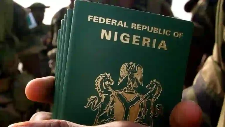 Government Moves to Cancel Passports of Former Nigerian Citizens