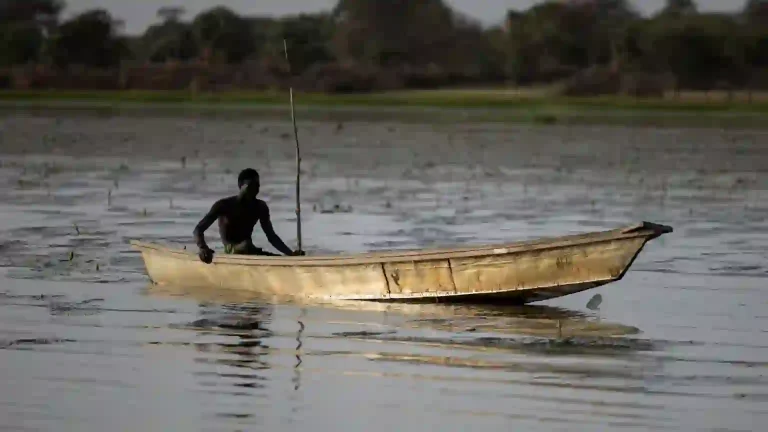 Dozens of Nigerian Fishermen Feared Dead After Chadian Airstrikes on Boko Haram in Lake Chad