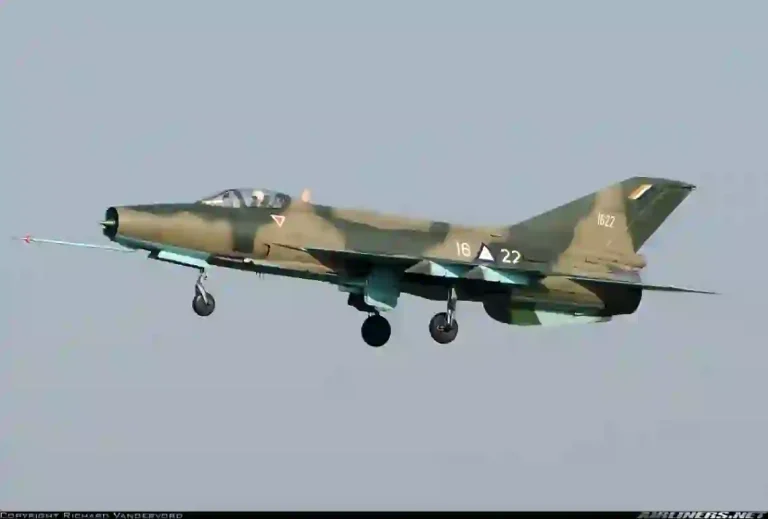 Civilians Die in Fresh Military Airstrike on Niger Community