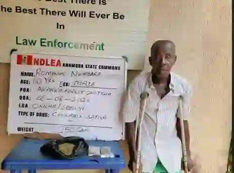 Three PWDs arrested over drug trafficking in Anambra, Kwara — NDLEA Three PWDs arrested over drug trafficking in Anambra, Kwara — NDLEA