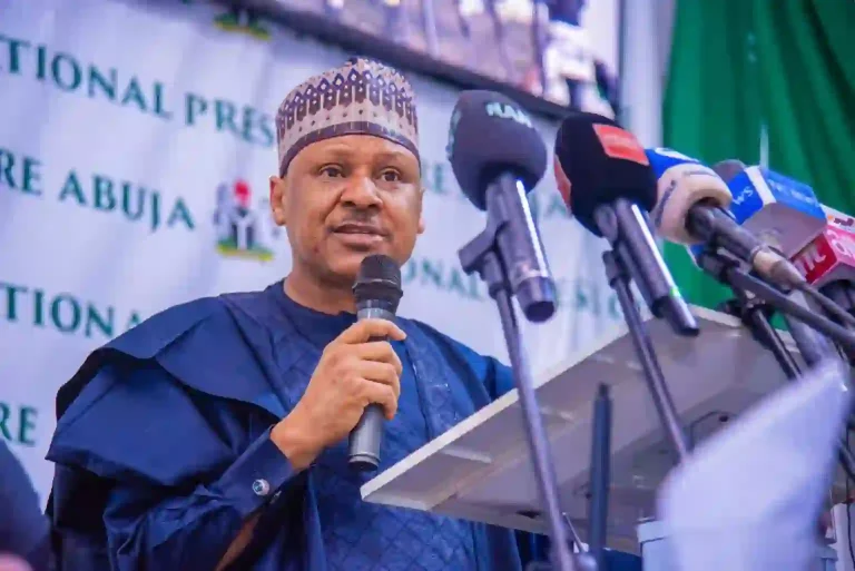 FG Defends Tinubu's Reforms at Democracy Day