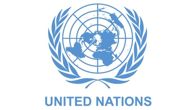 UN: Weapons from 2011 Libya Conflict Now Circulating Among Extremist Groups in Nigeria