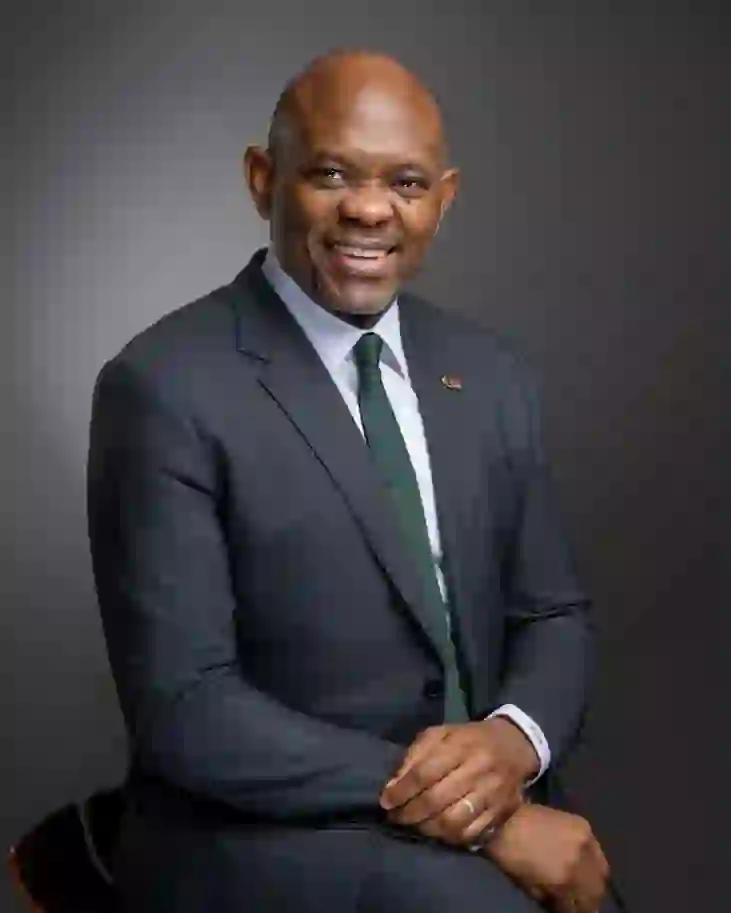 Inside Tony Elumelu’s Corporate Ecosystem Inside Tony Elumelu’s Corporate Ecosystem