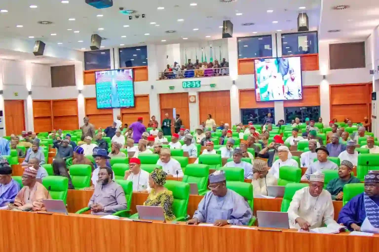 Reps Summon Service Chiefs, Finance Minister Over Security Spending, Rising Insecurity Reps Summon Service Chiefs, Finance Minister Over Security Spending, Rising Insecurity