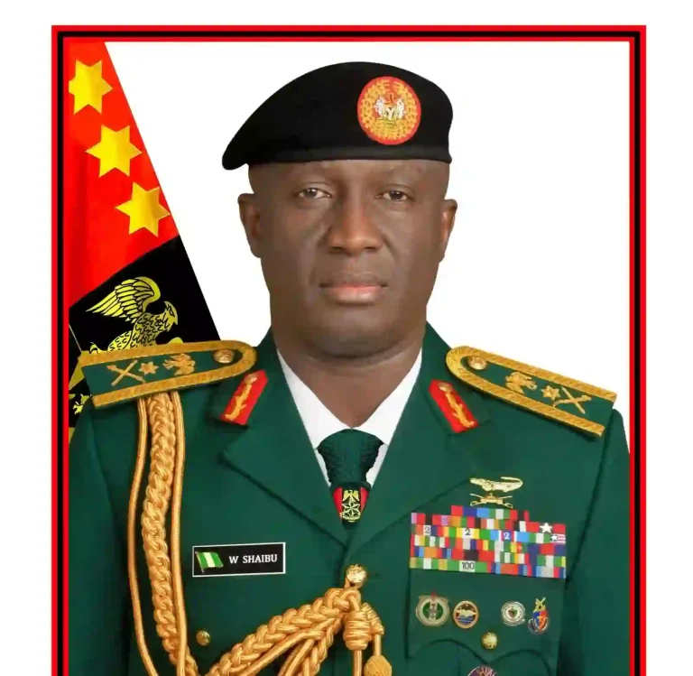 Rescue Operation for Abducted Oyo Pupils Making Progress — Army Chief Rescue Operation for Abducted Oyo Pupils Making Progress — Army Chief