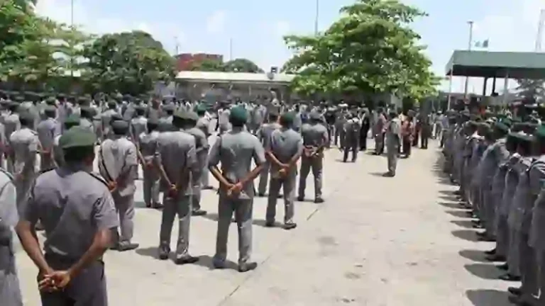 Customs arrests importer, clearing agent over 399 smuggled rifles at Tin Can Island Customs arrests importer, clearing agent over 399 smuggled rifles at Tin Can Island