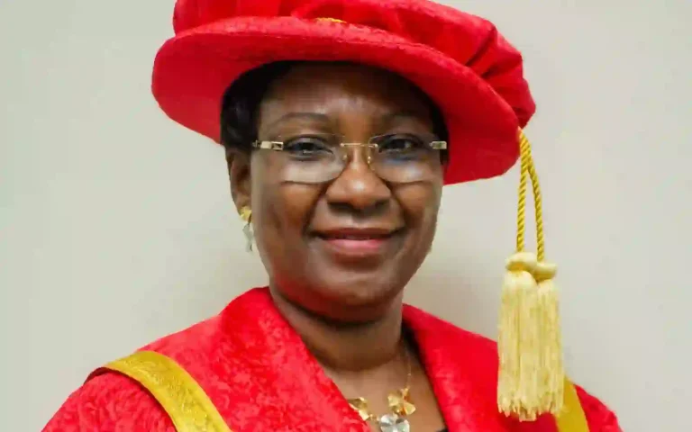 Public universities may need to charge N1m tuition to survive financially — Ex-LASU VC Public universities may need to charge N1m tuition to survive financially — Ex-LASU VC