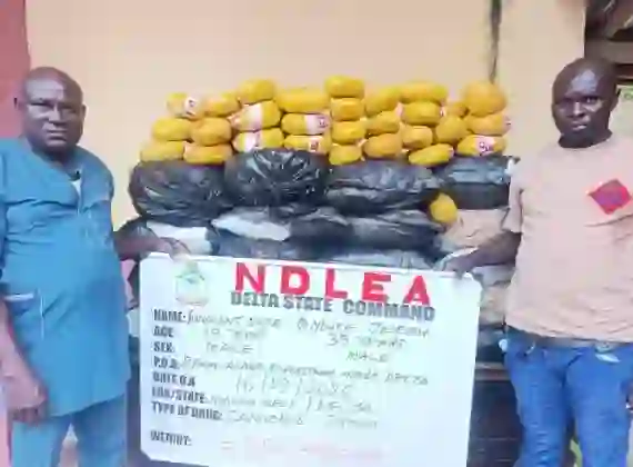 NDLEA intercepts N3.4bn drugs, arrests fake police officer, auto mechanic NDLEA intercepts N3.4bn drugs, arrests fake police officer, auto mechanic