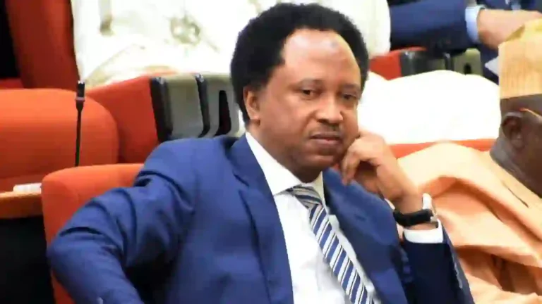 2027: Atiku's presidency will kill rotational arrangement — Shehu Sani