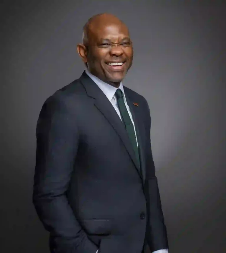 What Tony Elumelu told World Leaders in UNGA