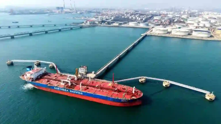 Ship owners task Dangote, others on cargo deals for indigenous shipping Ship owners task Dangote, others on cargo deals for indigenous shipping
